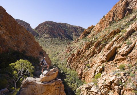 Trek Larapinta trail tour