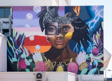 Darwin Street Art Festival 2019, NT