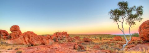 Find Flights with Qantas Now