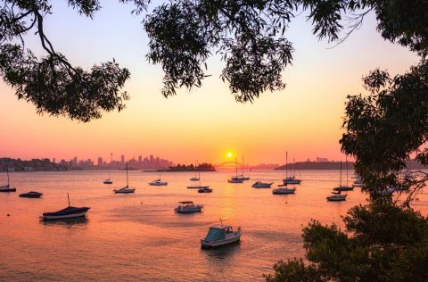 sydney sunset