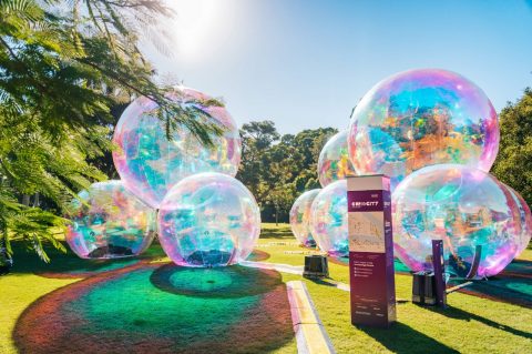 Brisbane Festival, QLD