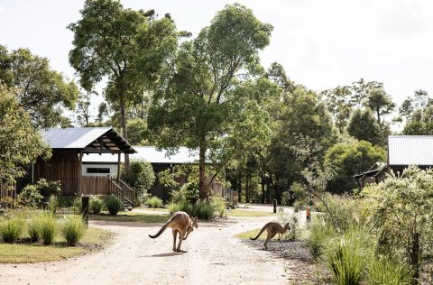 Crocodile cabins at Australia Zoo photographed by Rachael Tagg