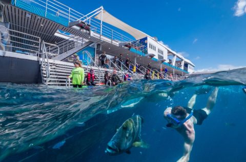 Reef Magic, Cairns