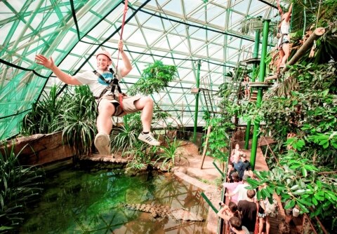 Pullman Reef Cairns Wildlife Dome