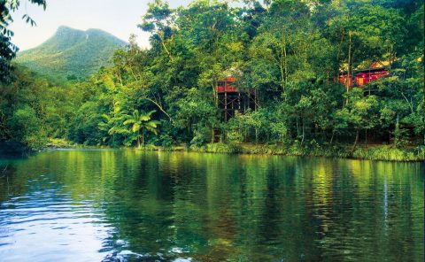 Luxury lodges for lounge lizards