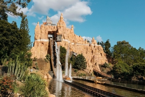 Hack the theme parks