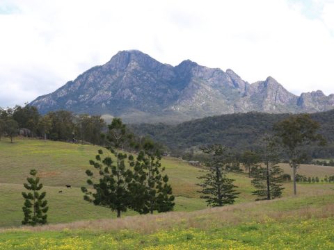 Food Tours in Scenic Rim Queensland