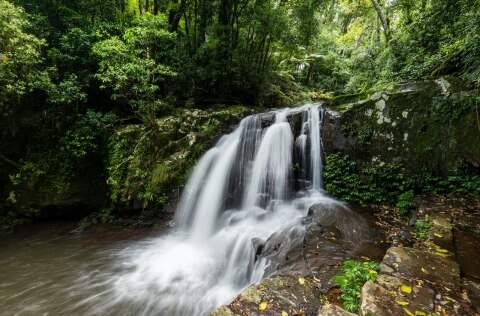 moran falls