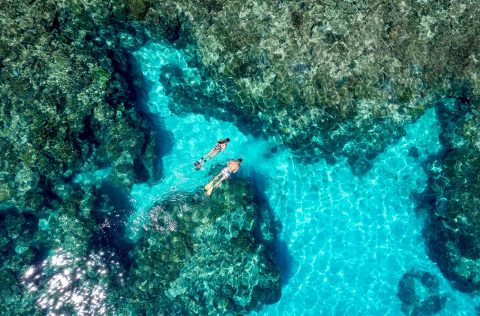Heron Island