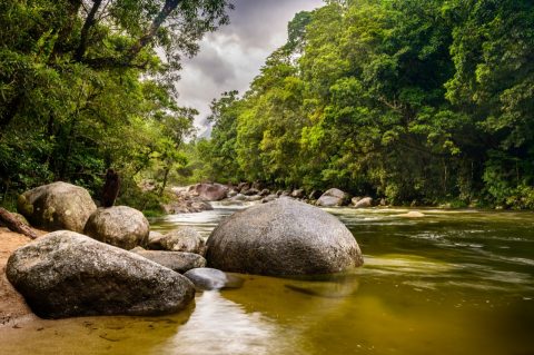 Take a Dreamtime walk at Mossman Gorge