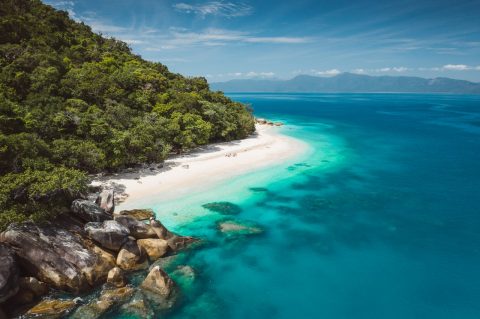 Meet the turtles on Fitzroy Island