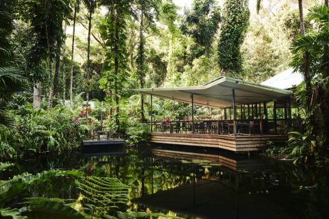 Daintree Ecolodge, Queensland