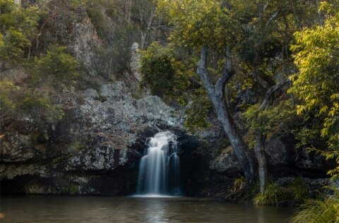 Kondalilla Falls, Montville