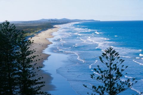 Find Flights with Qantas Now