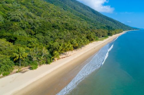 Ellis Beach on the Wangetti Trail in Tropical North Queensland
