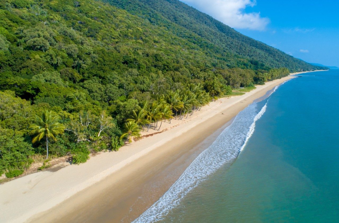 Ellis Beach on the Wangetti Trail in Tropical North Queensland