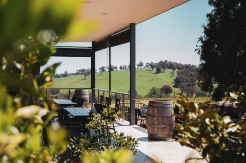 Courabyra Wines, NSW