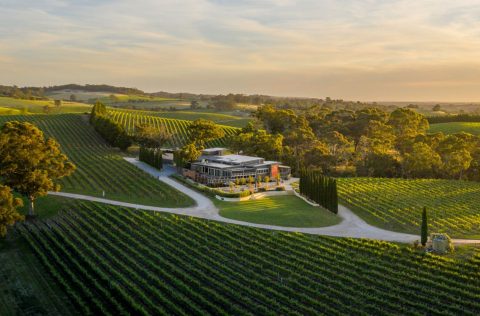 Best views: The Lane Vineyard 