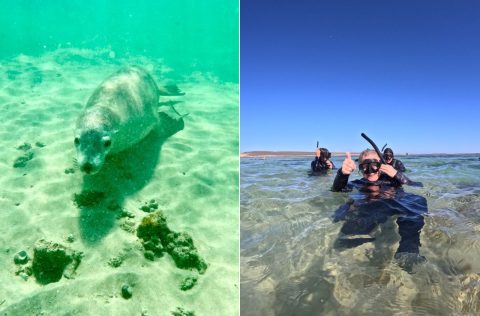 Carolyne Jasinski in South Australia