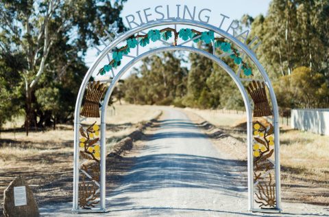 The Clare Valley's Riesling Trail