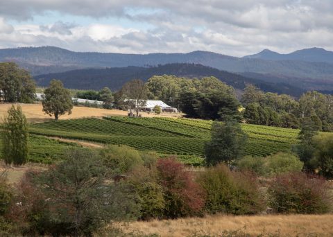 Fat Pig Farm, Tasmania