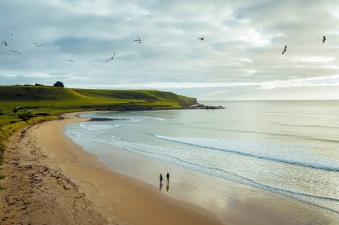 Godfreys Beach, Stanley, where the little penguins parade