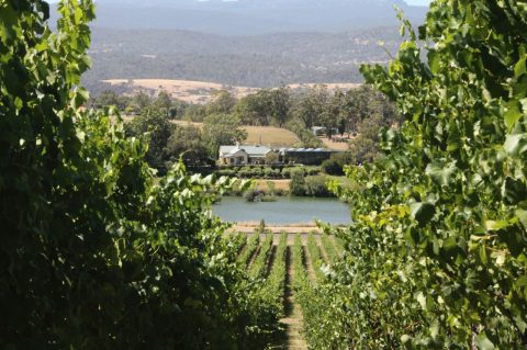 Best winery & cellar doors in Tasmania: Josef Chromy