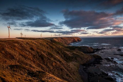 Kennaook / Cape Grim, Woolnorth