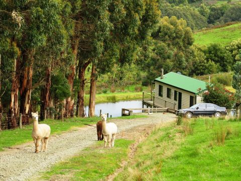 The Best Farm Stays Around Australia