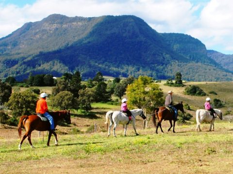 The Best Farm Stays Around Australia