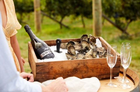 Printhie wine and oysters experience