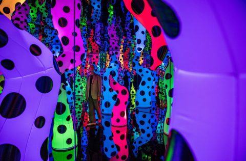 Be dazzled by Yayoi Kusama at the NGV International