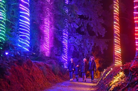 Lightscape, Melbourne’s Royal Botanic Gardens