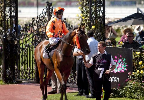 Horse jockey, Flemington racecourse, Melbourne, Victoria