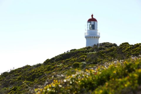 Cape Schanck lighthouse, Mornington Peninsula, Victoria