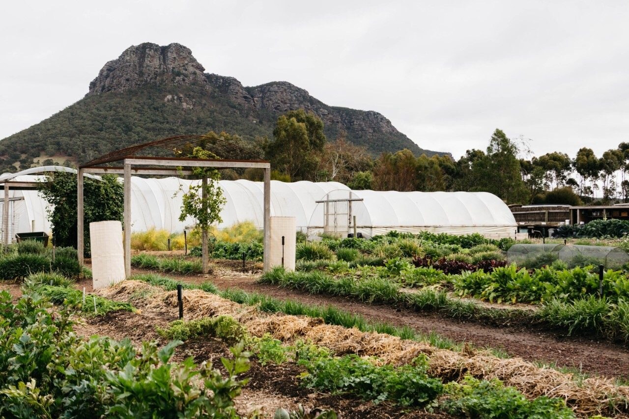 The produce gardens at Royal Mail Hotel, Victoria