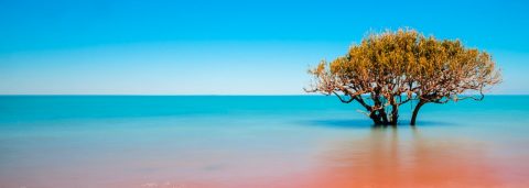 Find Flights