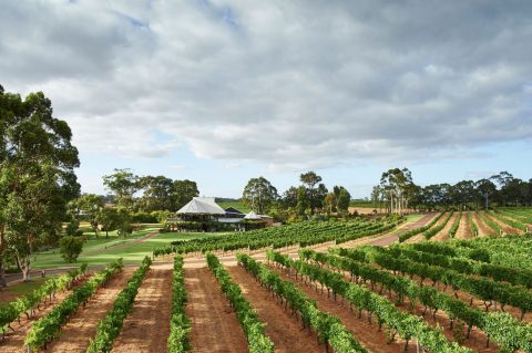 Vasse Felix, Margaret River