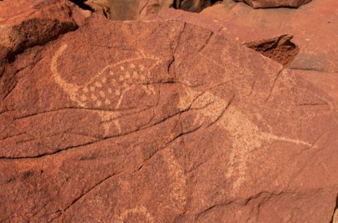 Murujuga rock art