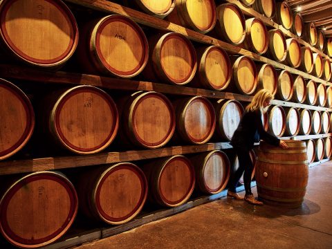 Explore Swan Valley’s Food and Wine Trail