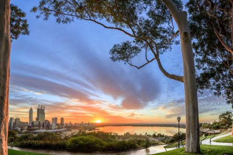 Take in city views at Kings Park