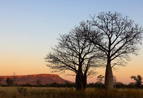 Sunset in The Kimberley, Western Australia