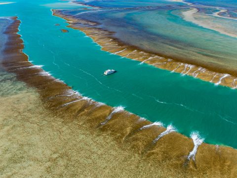 Find Flights with Qantas Now