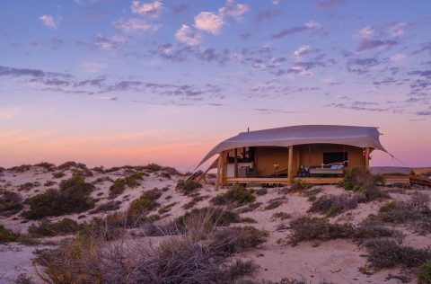 Sal Salis on the Ningaloo Reef