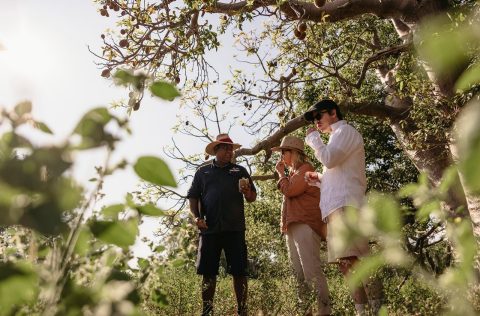 Mabu Buru Tours in Broome