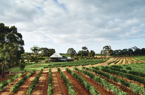 Vasse Felix in the Margaret River region