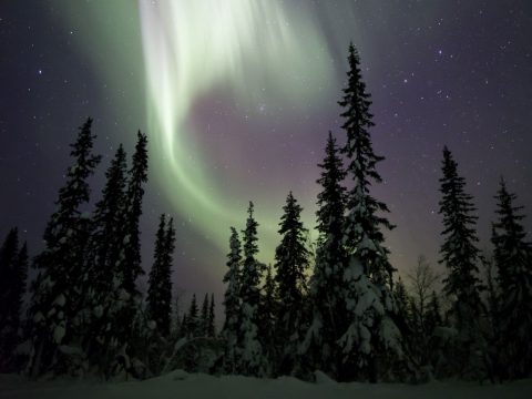 Meet the Real Santa in Finnish Lapland