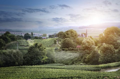 Reims