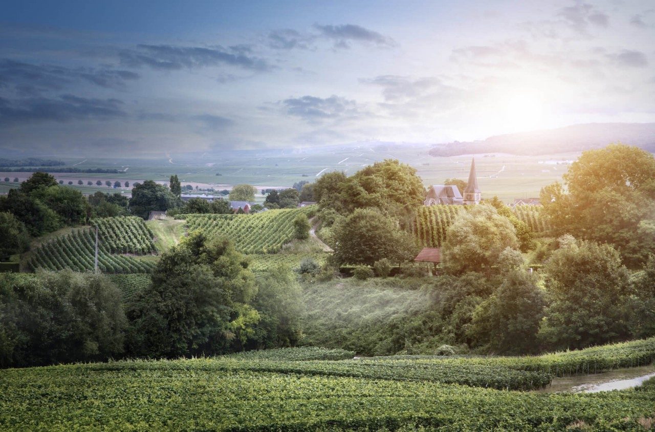 Reims