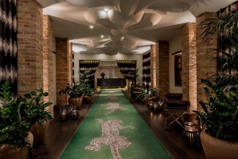 Hotel Zoo